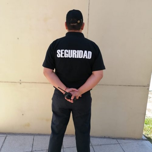 imagen2